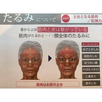 お顔のたるみは顔筋肉の衰え！お顔の凝り改善を！